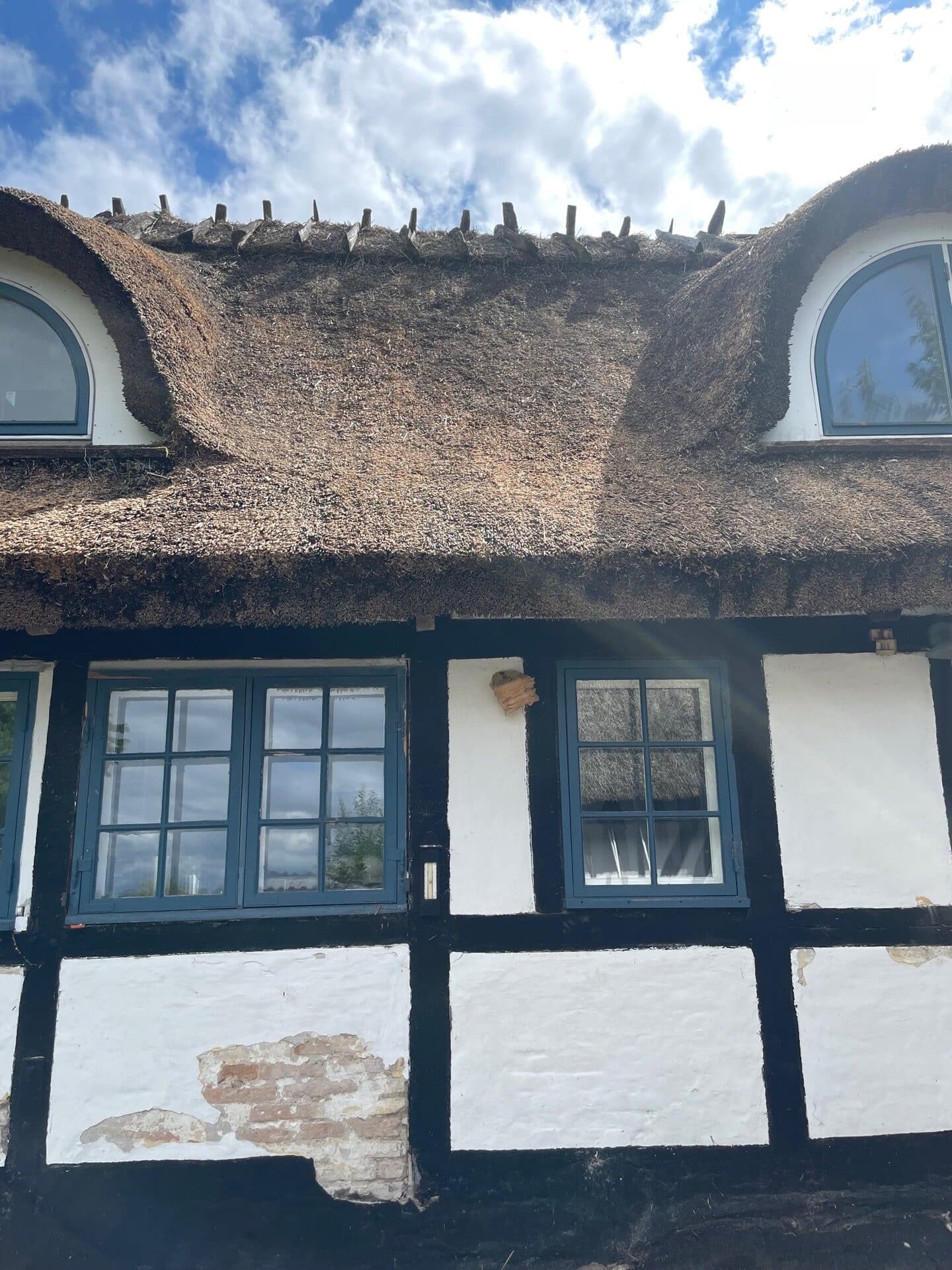 Mos ned og ret tagfladen op