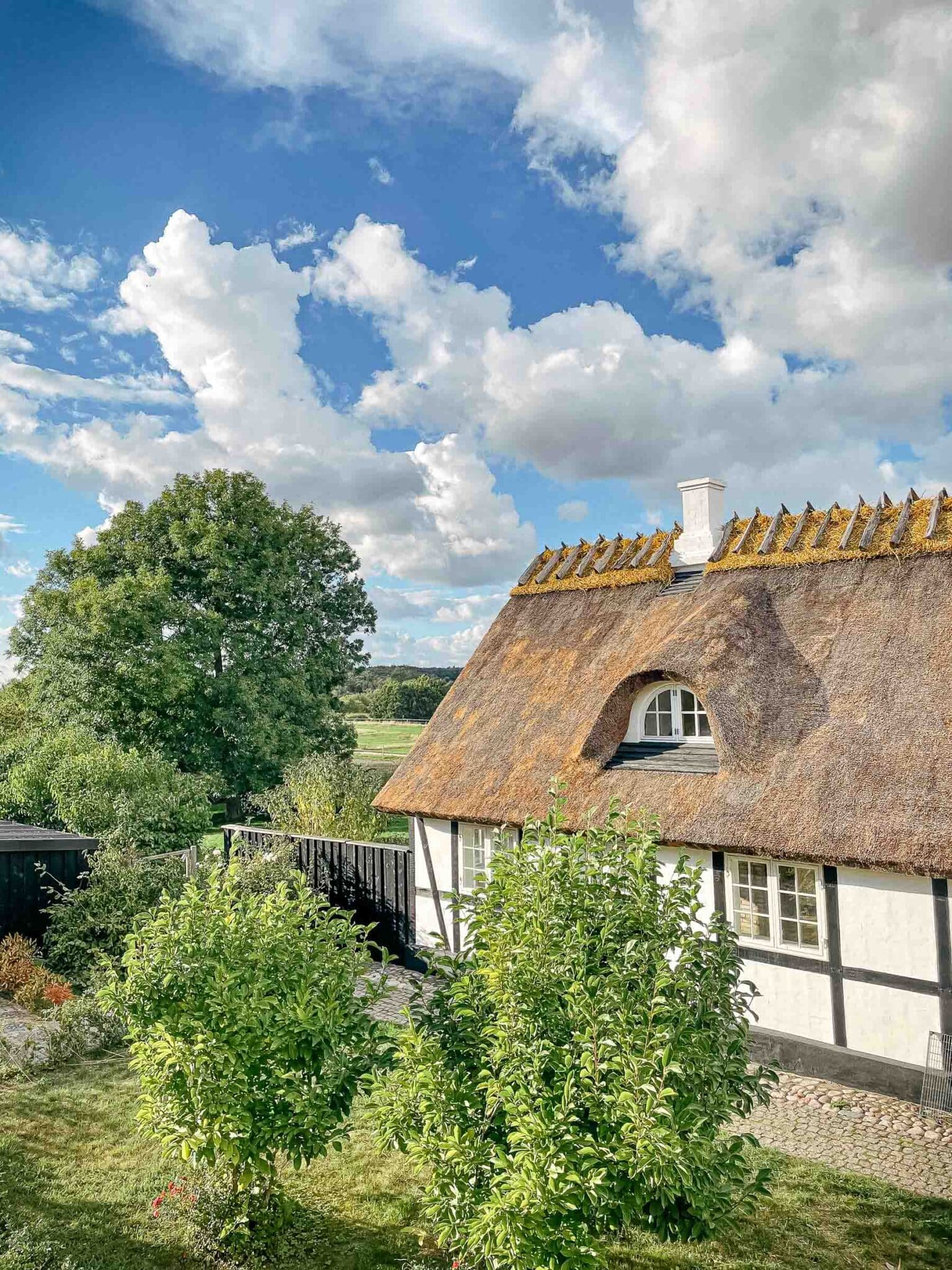 Lad os stå for dit næste projekt. Her kan du få et indblik i, hvad vi kan hjælpe dig med på dette område.